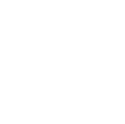 Human-AI Flexibility